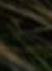 Corrine123 aus Winkelhaid