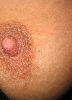 lustvolle_chicca aus Essen