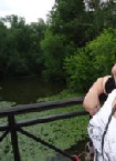 Marijke44 aus Sulzbach-Rosenberg