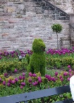 Ankie37 aus Erlangen