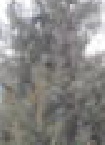 Dori26 aus Griesheim