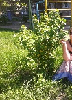 Elsamma30 aus Viersen