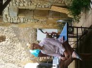 matzehase80 aus Lübeck