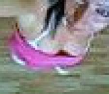 bitchandrich aus Leipzig